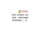 19.1.1 矩形的性质(华师版数学八年级下册教学课件)