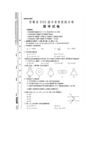 2023年安徽省六安市金安区中考数学最后一模