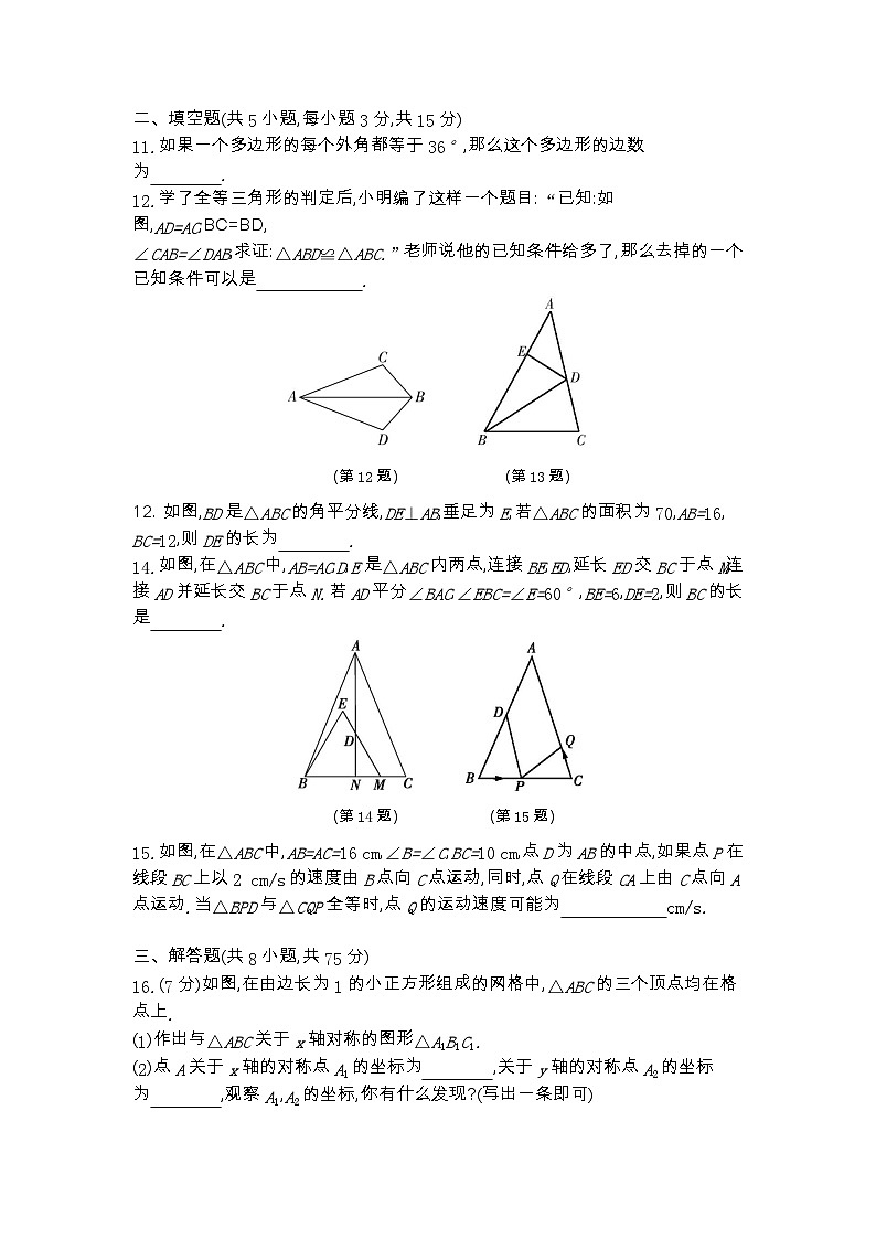 期中综合测评卷  2023-2024学年人教版八年级数学上册03