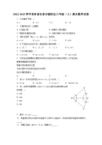 2022-2023学年吉林省长春市朝阳区八年级（上）期末数学试卷（含解析）