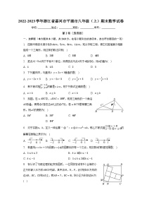 2022-2023学年浙江省嘉兴市平湖市八年级（上）期末数学试卷（含解析）