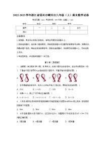 2022-2023学年浙江省绍兴市嵊州市八年级（上）期末数学试卷（含解析）