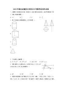 2023年湖北省襄阳市枣阳市中考数学适应性试卷（含解析）