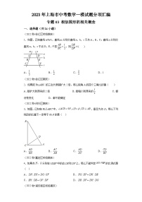 2023年上海市中考数学一模试题分项汇编  专题03相似图形的相关概念