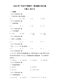 2023年广东省中考数学一模试题分项汇编  专题1  数与式