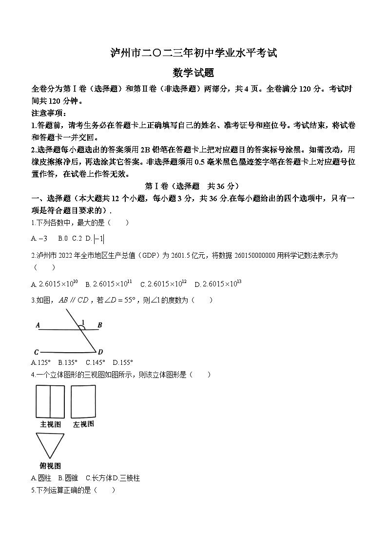 2023年四川省泸州市中考数学真题(无答案)第1页