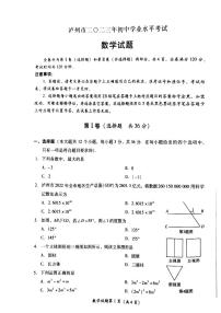 2023年四川省泸州市中考数学真题