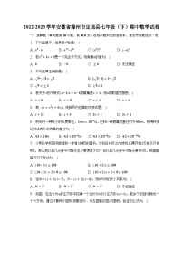 2022-2023学年安徽省滁州市定远县七年级（下）期中数学试卷（含解析）