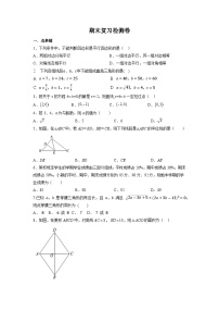 2022-2023学年人教版八年级下学期数学期末复习检测卷