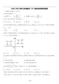 2022-2023学年北京市七年级数学（下）期末综合素养检测卷