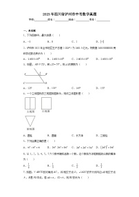 2023年四川省泸州市中考数学真题（含解析）