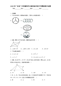 2023年广东省广州市越秀区名德实验学校中考模拟数学试题（含解析）