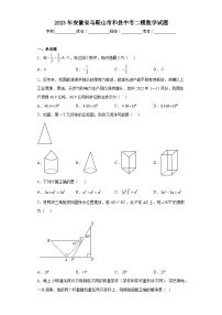 2023年安徽省马鞍山市和县中考二模数学试题（含解析）