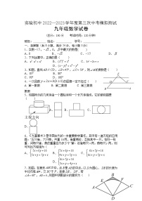 2023年江苏省扬州市宝应县实验初级中学中考三模数学试卷