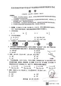 2023年四川省宜宾中考数学真题++