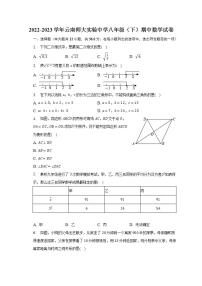 2022-2023学年云南师大实验中学八年级（下）期中数学试卷（含解析）