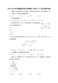 2022-2023学年福建省龙岩市连城县八年级（下）期中数学试卷(含解析）