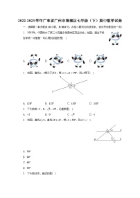 2022-2023学年广东省广州市增城区七年级（下）期中数学试卷（含解析）