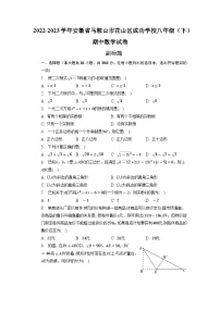 安徽省马鞍山市花山区成功学校2022—2023学年下学期八年级期中数学试卷