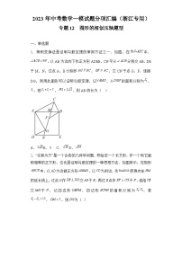 2023年中考数学一模试题分项汇编  专题12图形的相似压轴题型