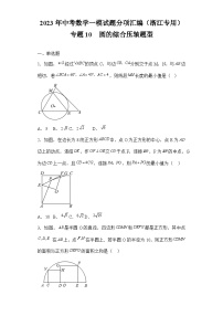 2023年中考数学一模试题分项汇编  专题10圆的综合压轴题型（浙江专用）