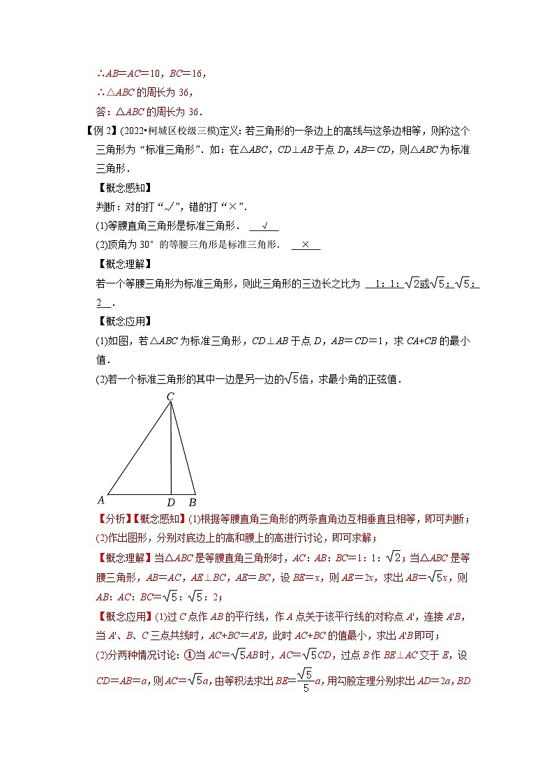 专题31三角形与新定义综合问题-挑战2023年中考数学压轴题之学霸秘笈大揭秘（教师版含解析）第3页