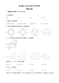 2022年哈尔滨市中考真题数学试卷含答案解析