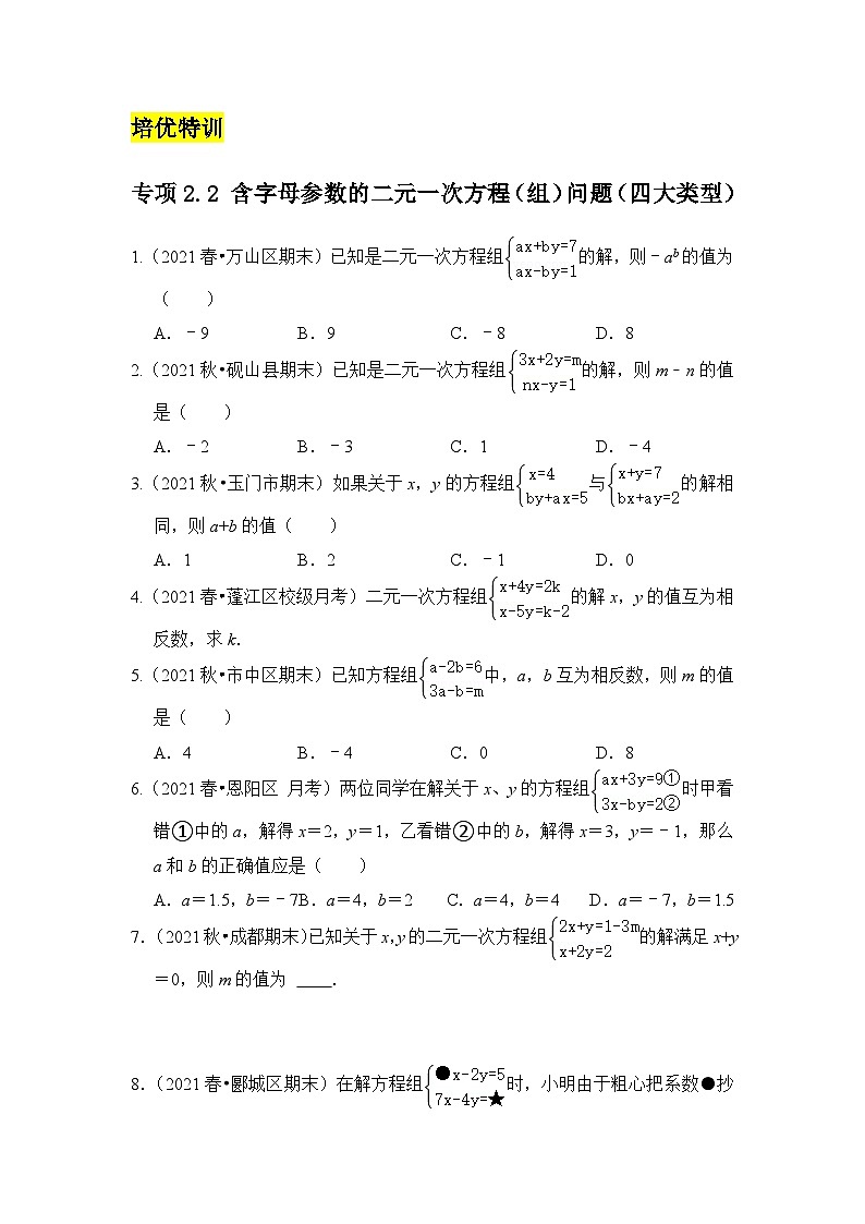 （培优特训）专项2.2 含字母参数的二元一次方程（组）问题（四大类型）-七年级数学下册《同步考点解读•专题训练》（浙教版）01