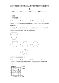 2023年安徽省合肥市第三十八中学教育集团中考三模数学试题（含解析）