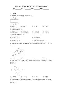 2023年广东省河源市连平县中考二模数学试题（含解析）