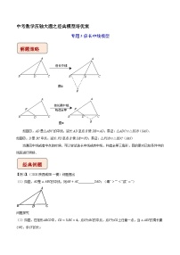 专题05 倍长中线模型-中考数学压轴大题之经典模型培优案（全国通用）