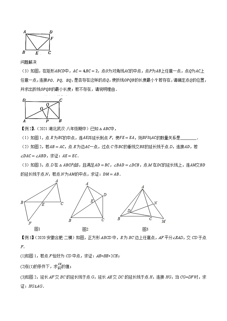 专题5倍长中线模型-中考数学压轴大题之经典模型培优案（全国通用）（原卷版）第2页