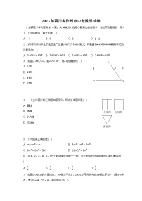 2023年四川省泸州市中考数学试卷（含解析）