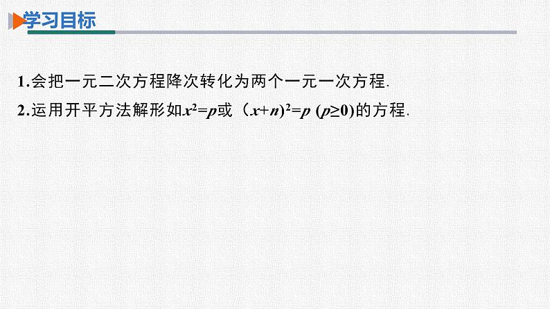 21.2.1 第1课时 用直接开平方法解一元二次方程 人教版数学九年级上册精选课件02