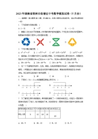 2023年湖南省株洲市荷塘区中考数学模拟试卷（5月份）+