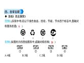 初中数学北师版七年级下册教学课件 第5章  生活中的轴对称 小结与复习