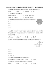 +广东省清远市佛冈县2022-2023学年八年级下学期期中数学试卷+