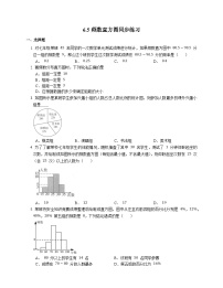 初中数学浙教版七年级下册6.5频数直方图课时作业