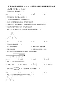 河南省安阳市殷都区2021-2022学年七年级下学期期末数学试题(含答案)