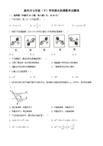 浙江省嘉兴市2021-2022学年七年级下学期期末数学试题(含答案)