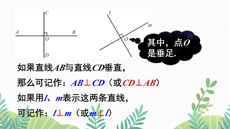 七年级下册数学（北师版）课件 第二章 相交线与平行线 1 两条直线的位置关系 第2课时 垂线第6页