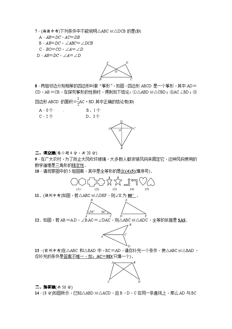 北师版初中数学七年级下册 第四章 三角形 周周测502