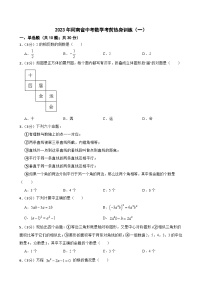 2023年河南省中考数学考前热身训练（一）（含答案）