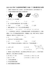 +广东省深圳市罗湖区2022-2023学年八年级下学期期末数学+复习试卷（含答案）