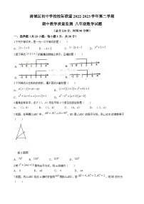 广东省清远市清城区2022-2023学年八年级下学期期中数学试题（含答案）