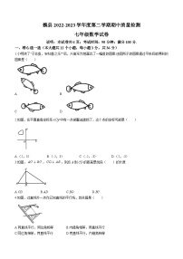 河北省邯郸市魏县2022-2023学年七年级下学期期中质量检测数学试题（含答案）