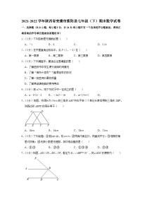 2021-2022学年陕西省安康市紫阳县七年级（下）期末数学试卷 (1)