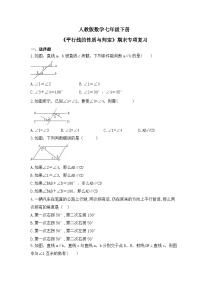 人教版数学七年级下册《平行线的性质与判定》期末专项复习(含答案)