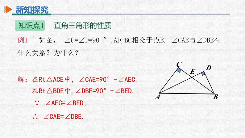 11.2.1 第2课时直角三角形的两个锐角互余 人教版数学八年级上册精选课件08