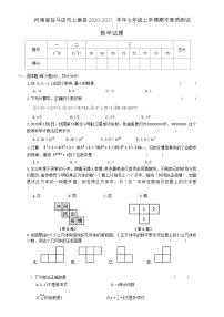 河南省驻马店市上蔡县2020-2021学年七年级上学期期末素质测试数学试题